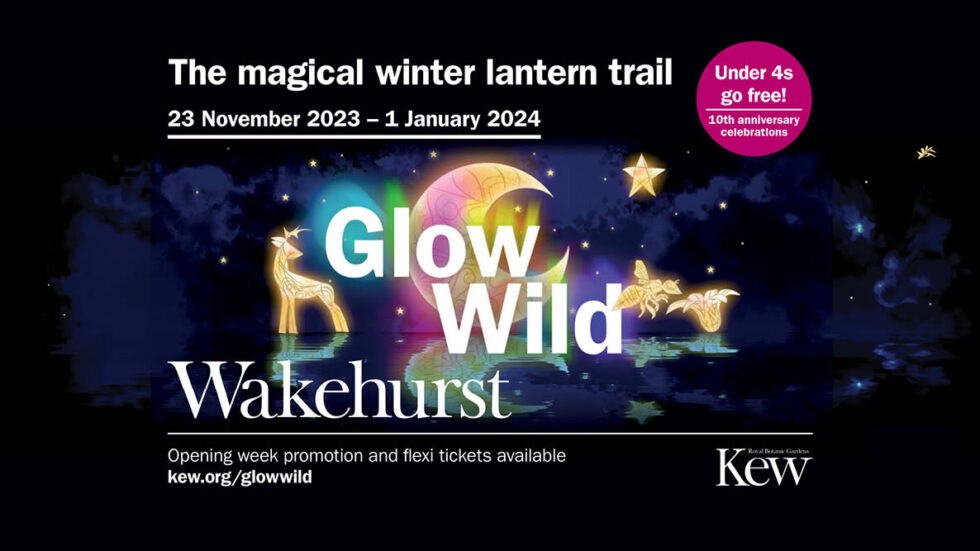 Glow Wild’s Milestone Tenth Birthday Celebration