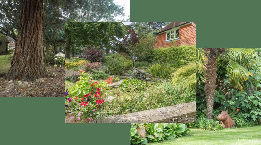 Visit The Garden At Warnham Park, Horsham And Help Support National Garden Scheme Charities