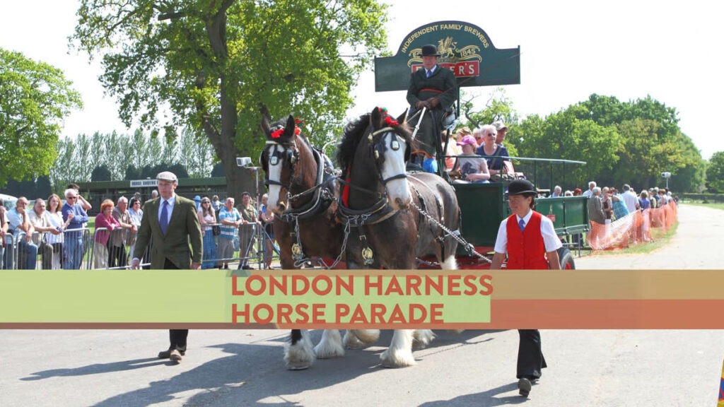 Win a pair of Tickets to the The London Harness Horse Parade